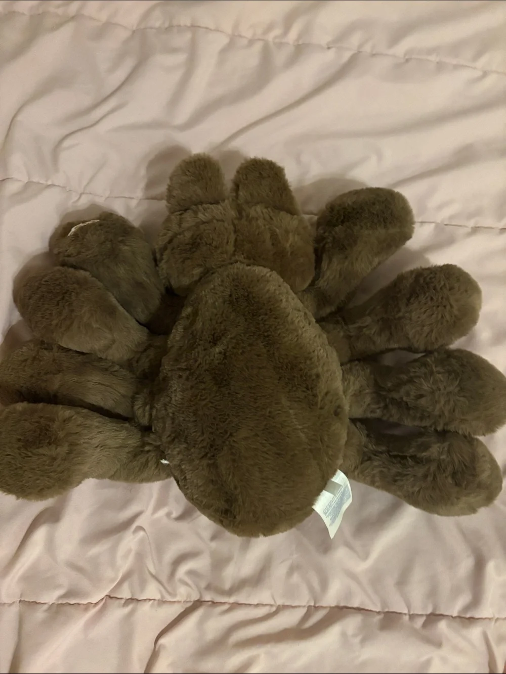 Build a bear jumping spider plushie